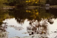 ImageToStl.com_N°22