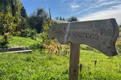 ImageToStl.com_N°16