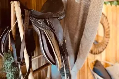 ImageToStl.com_N°15